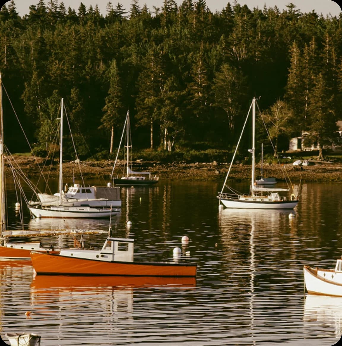 Maine coastline