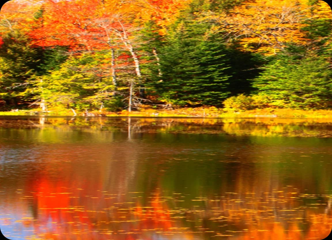 Vermont skyline