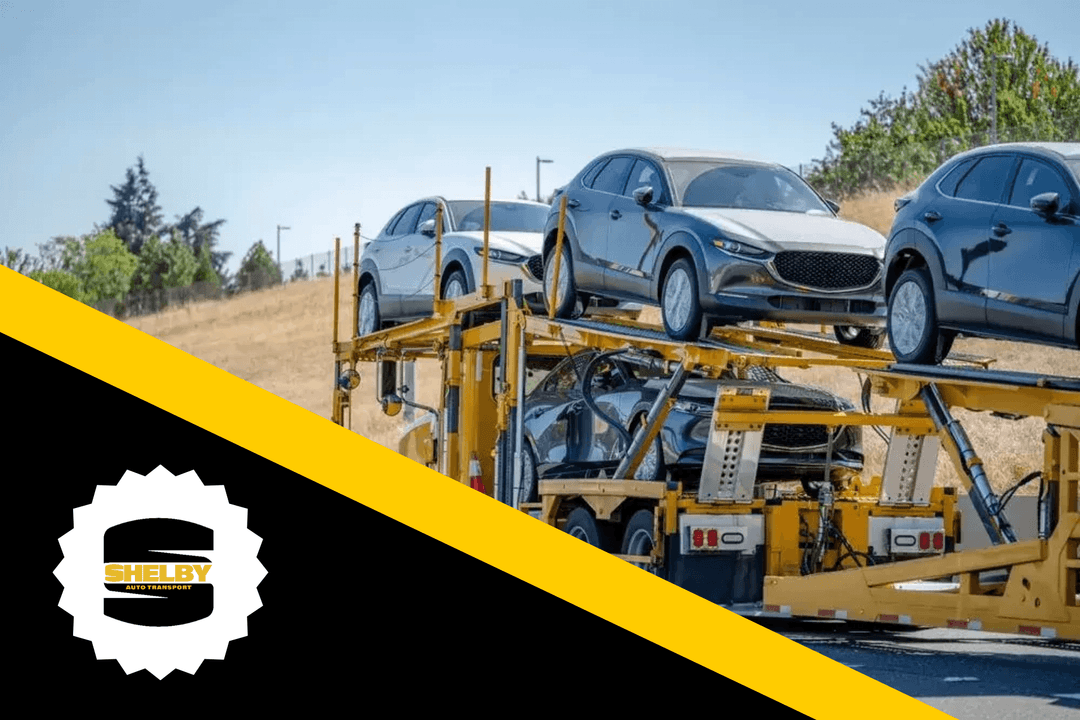 Shelby Auto Transport
